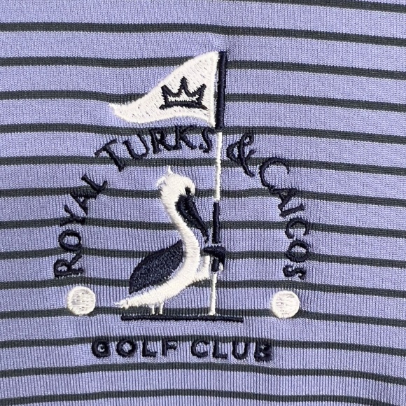 Greyson Performance Polo Mens XL Purple Blue striped Royal Turks and Caicos. - Picture 3 of 7